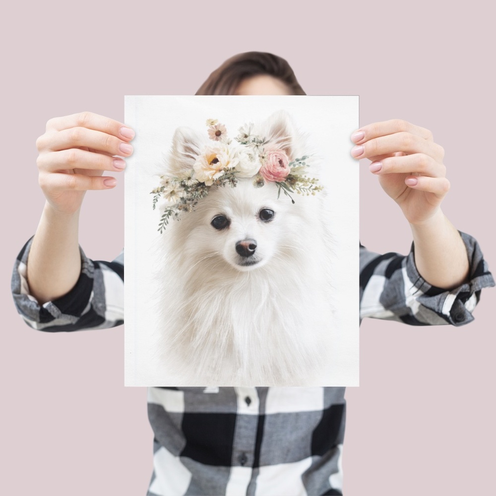 Watercolor White Pomeranian Dog Portrait Art Print – Unframed Fine Art Poster - Picture 4 of 5